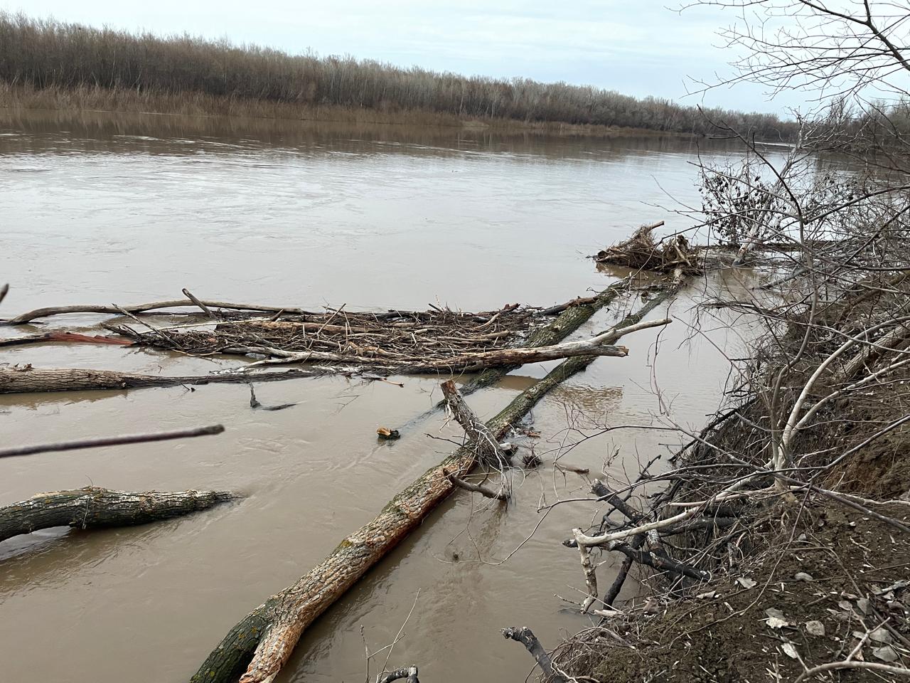 Уровень воды продолжает повышаться на реке Урал